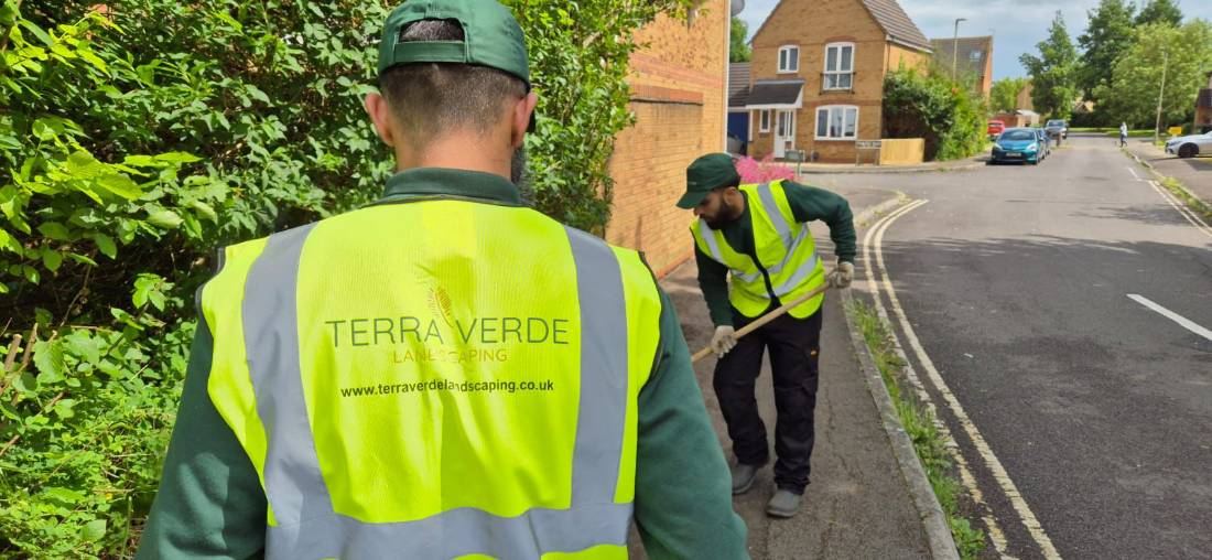 Terra Verde operatives on site