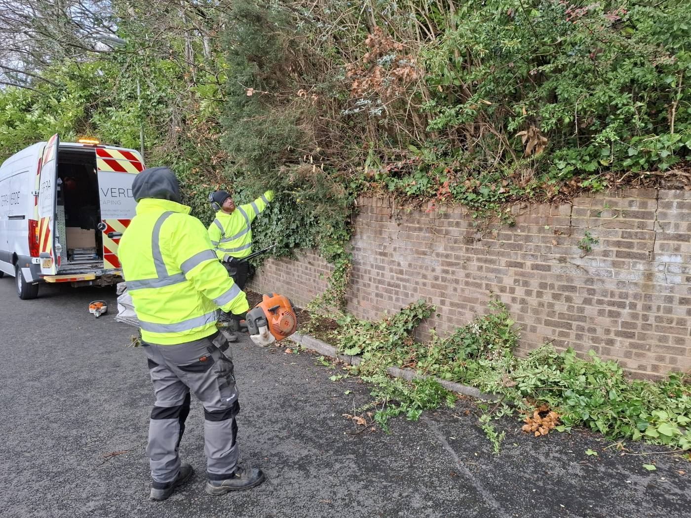 Vegetation clearance
