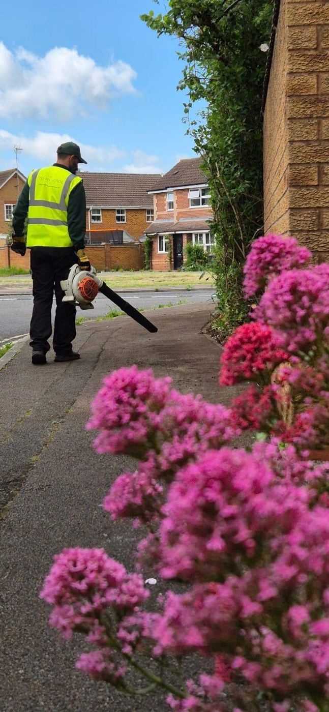 Operative clearing leaves beside a flowering border