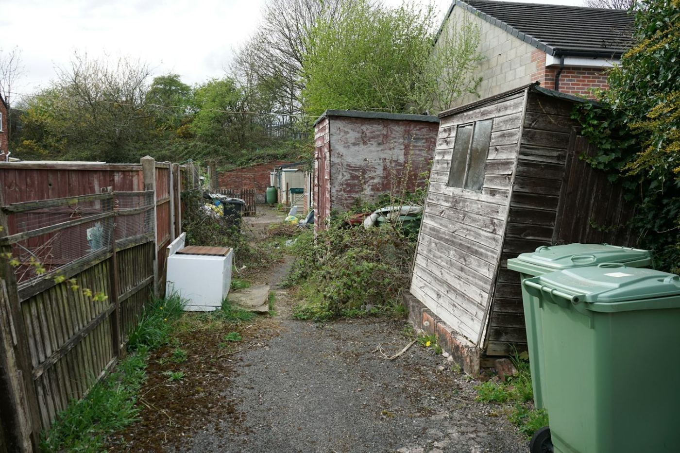 Neglected yard with overgrowth, old sheds and bins